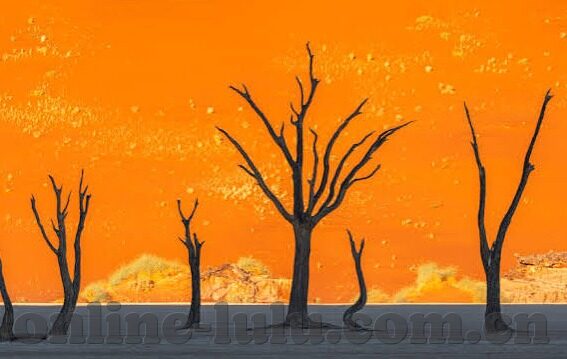 成人视频论坛-成人视频论坛，网络文化中的一抹独特风景