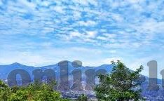 大象传媒yyds-大象传媒，文化传播的璀璨明珠