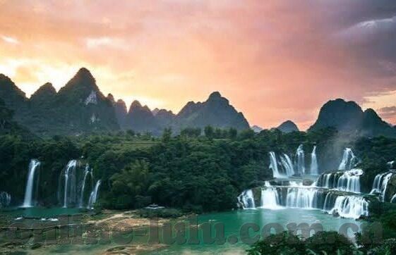 大象回家视频dx导航-科技与自然共舞，大象回家之旅与DX导航的温馨邂逅