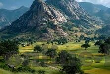 精品香蕉一区二区三区-探索香蕉的甜蜜之旅，一区、二区、三区的独特魅力