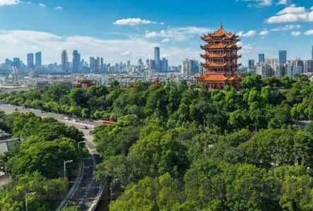 麻豆阿宾房东视频-房东视角下的麻豆阿宾——生活串联的点滴日常