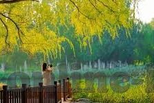 麻豆传媒黄色仓库-软色情等违法和不良内容的传播可能会对个人和社会造成多重危害
