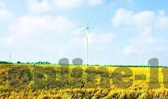麻豆传媒直播官网入口-解锁麻豆传媒直播官网——线上娱乐的探索之道