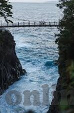 日韩av色综合网站-日韩AV色情网站，文化、法律与道德的灰色地带