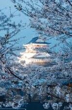 日韩av一区二区三区在线-探索成人娱乐内容的边界，日韩AV一区、二区、三区的在线世界