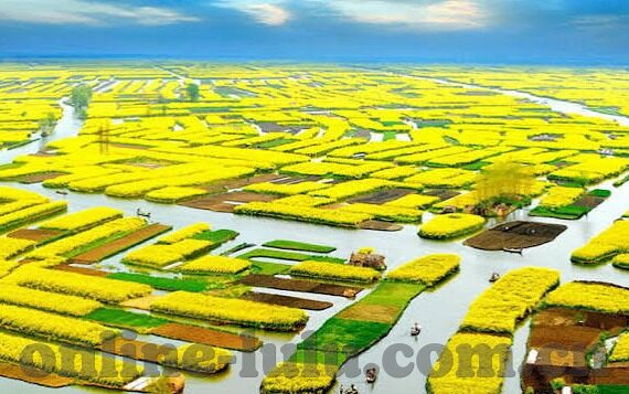 色综合91久久精品中文字幕-探索网络世界的多元文化，色情内容的警示与界限