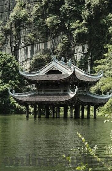医学伦理学试题及答案-医学伦理学试题精选与解析